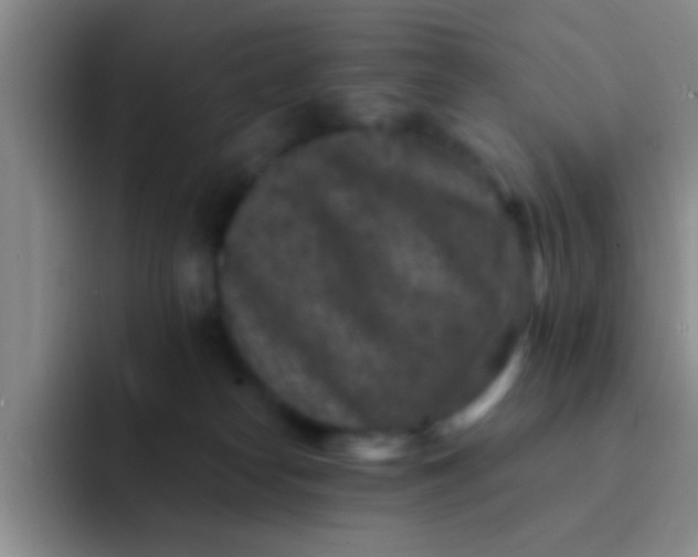 X0000091930182200709261921