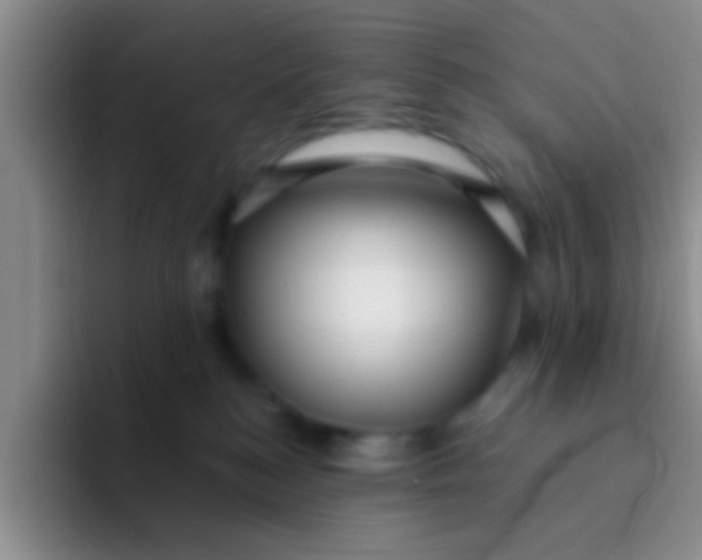 X0000091930184200709261921