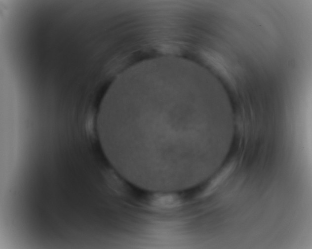 X0000091930185200709261921