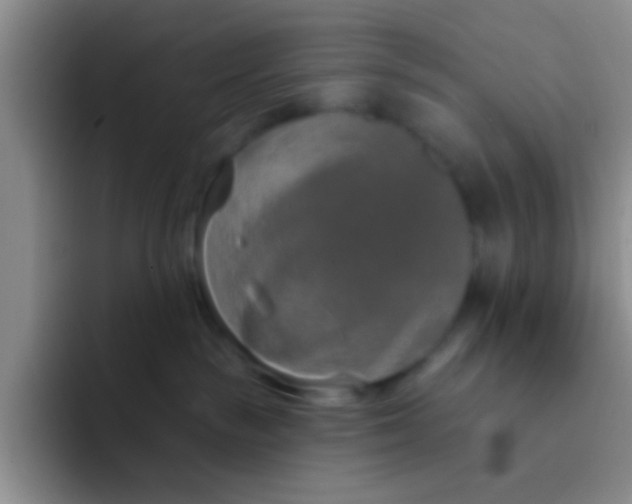 X0000091930189200709261921