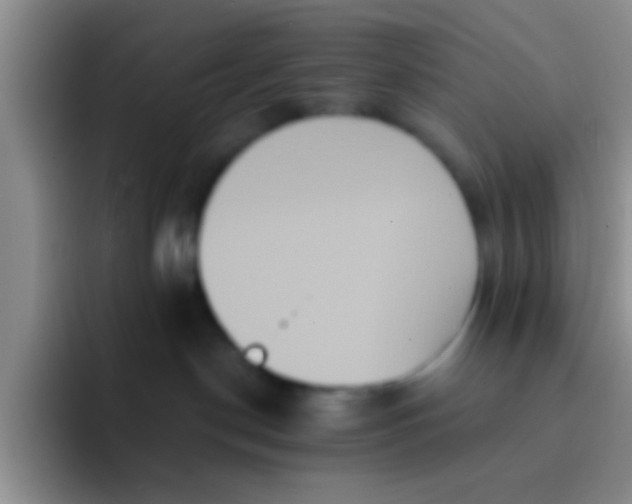 X0000091930190200709261921