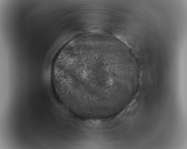 X0000091930194200709261920
