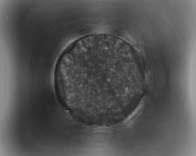 X0000091930196200709261920