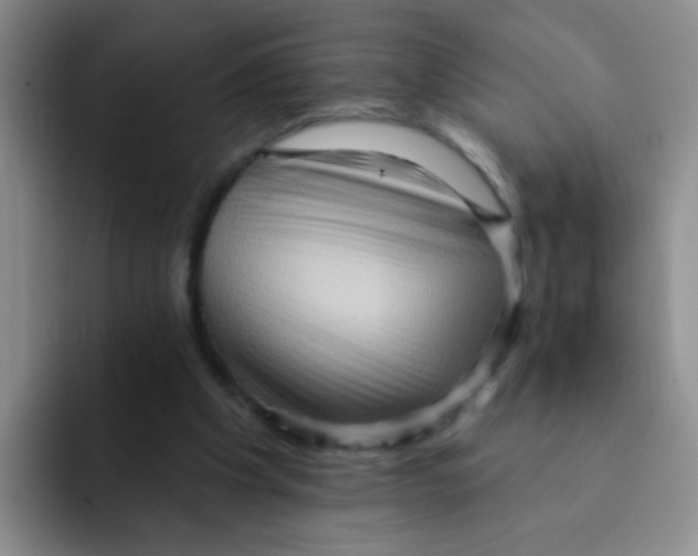 X0000091930201200709261920