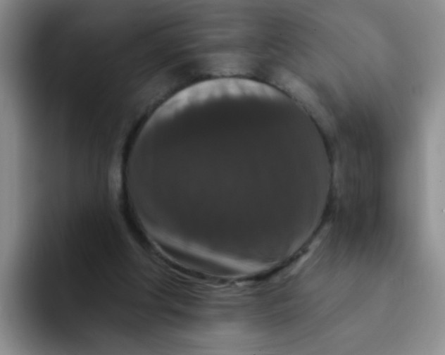 X0000091930202200709261920
