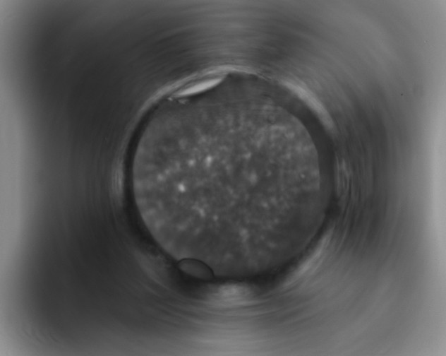 X0000091930204200709261920
