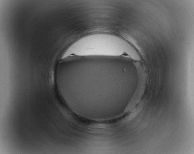 X0000091930205200709261920