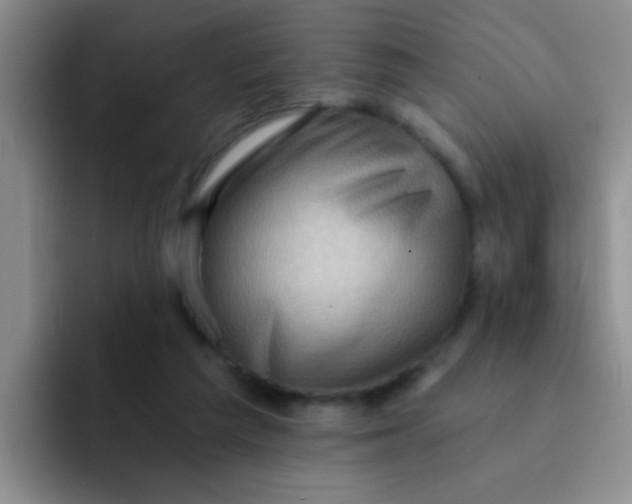 X0000091930209200709261920