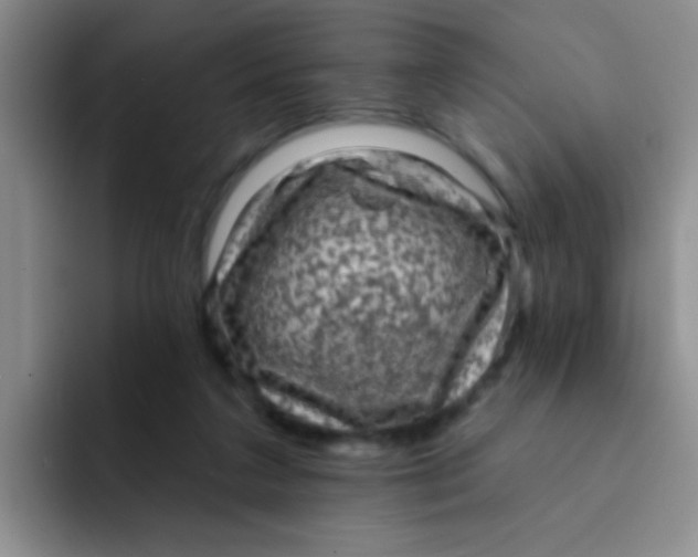 X0000091930211200709261920