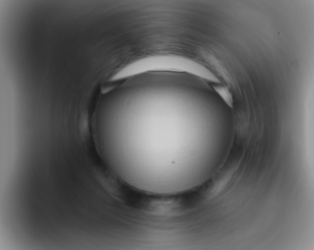 X0000091930213200709261920