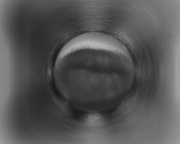X0000091930214200709261920