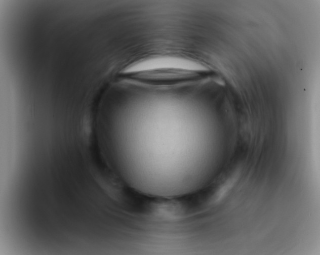 X0000091930215200709261920
