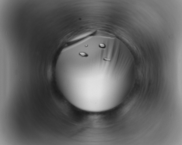 X0000091930216200709261920