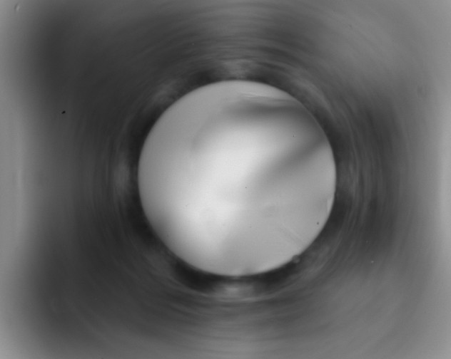 X0000091930220200709261920