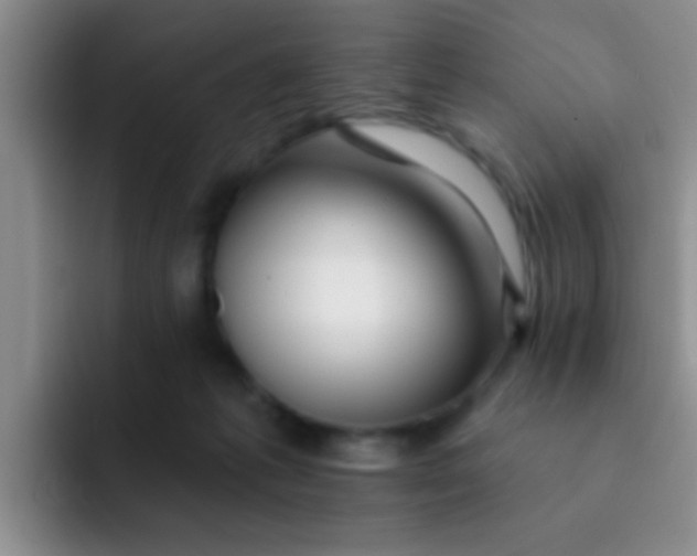 X0000091930221200709261920