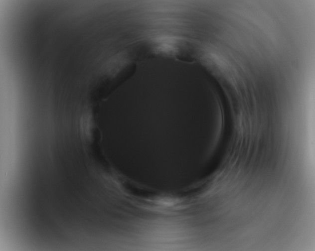 X0000091930223200709261920