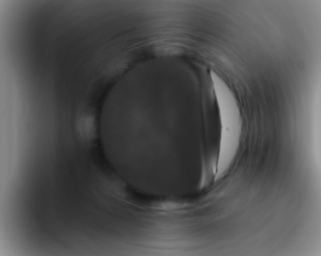X0000091930224200709261920