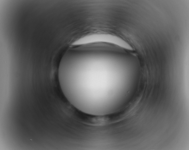X0000091930225200709261920