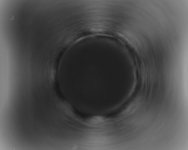 X0000091930227200709261920