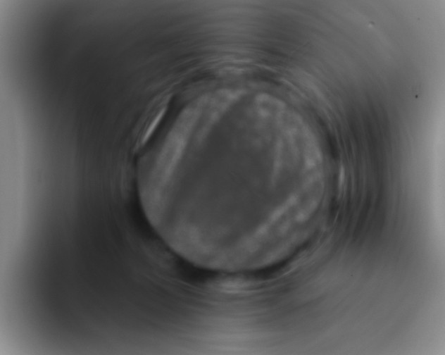 X0000091930228200709261920