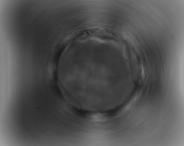 X0000091930229200709261920