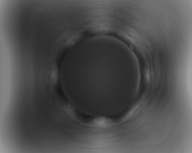 X0000091930231200709261920
