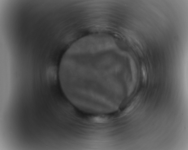 X0000091930232200709261920