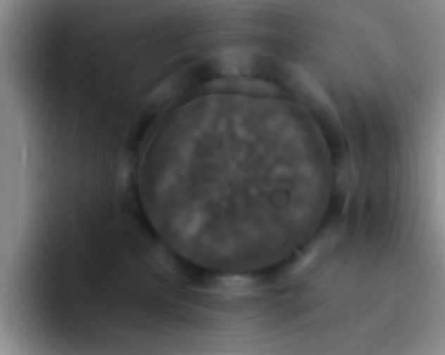 X0000091930233200709261920