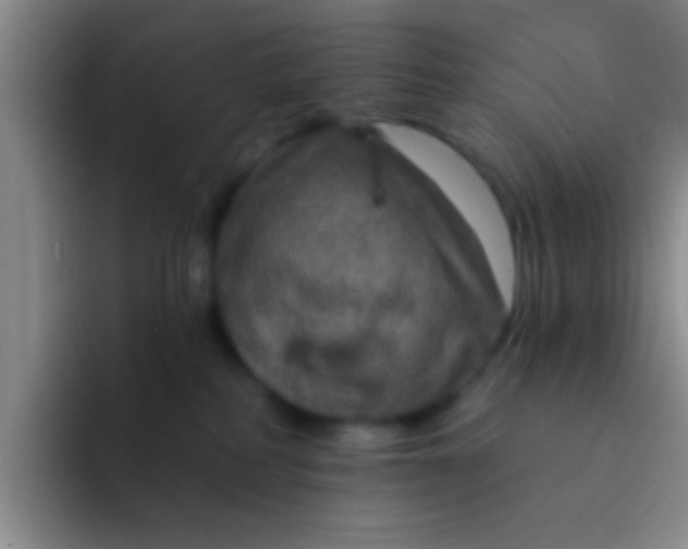 X0000091930234200709261920