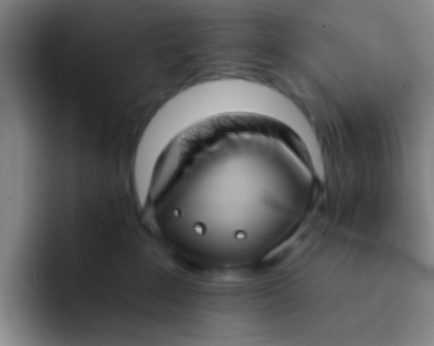 X0000091930235200709261920