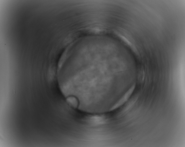 X0000091930236200709261920
