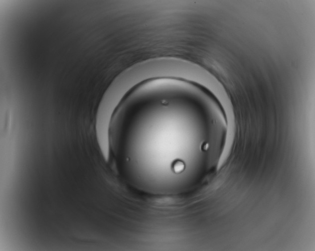 X0000091930237200709261920