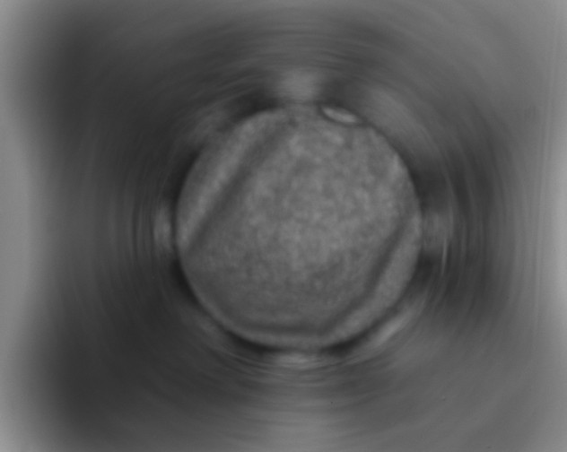 X0000091930238200709261920
