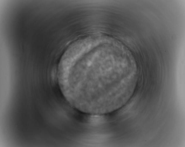 X0000091930240200709261920