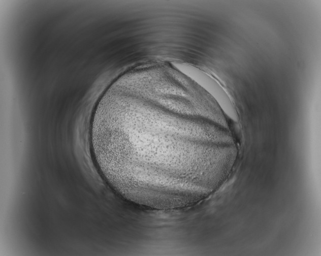 X0000091930241200709261919