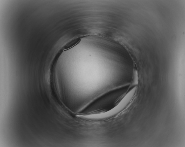 X0000091930242200709261919