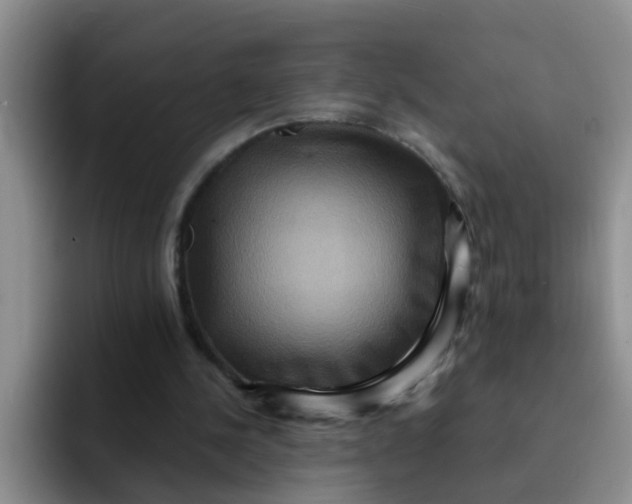 X0000091930244200709261919