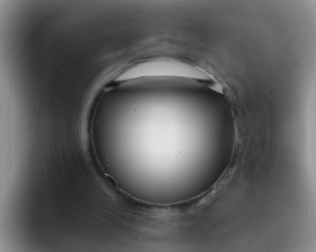 X0000091930245200709261919