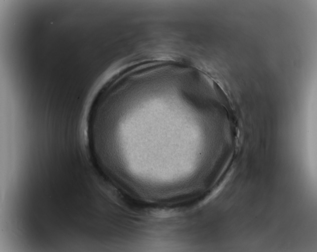 X0000091930246200709261919