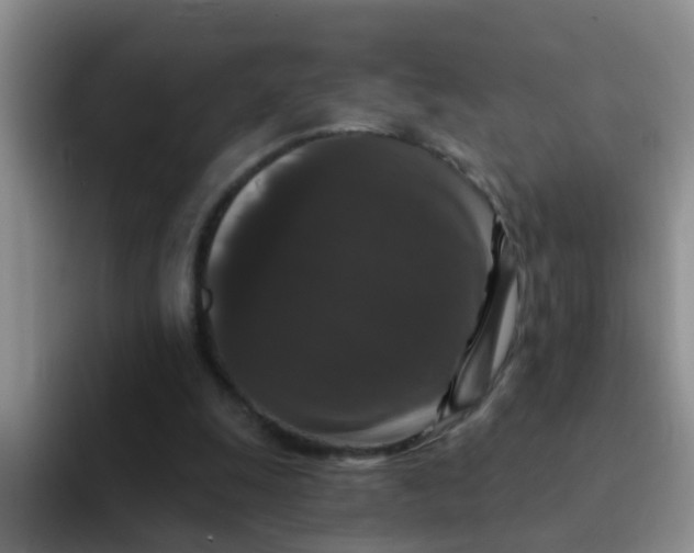 X0000091930247200709261919