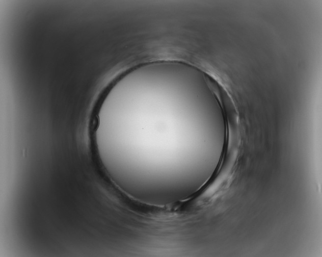 X0000091930248200709261919