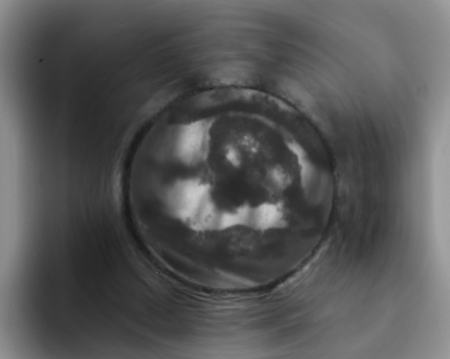 X0000091930250200709261919