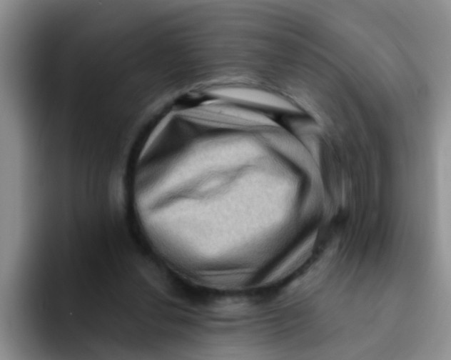 X0000091930252200709261919