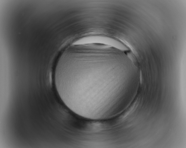 X0000091930253200709261919