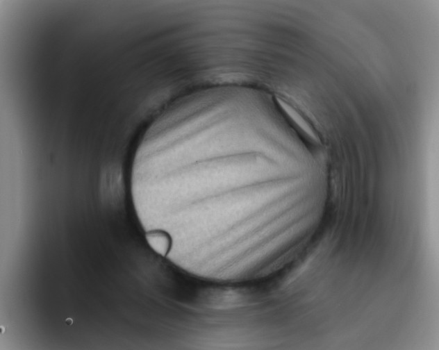X0000091930254200709261919