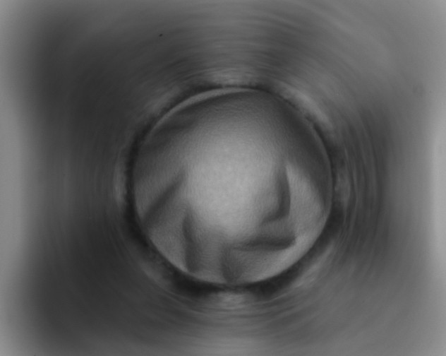 X0000091930255200709261919