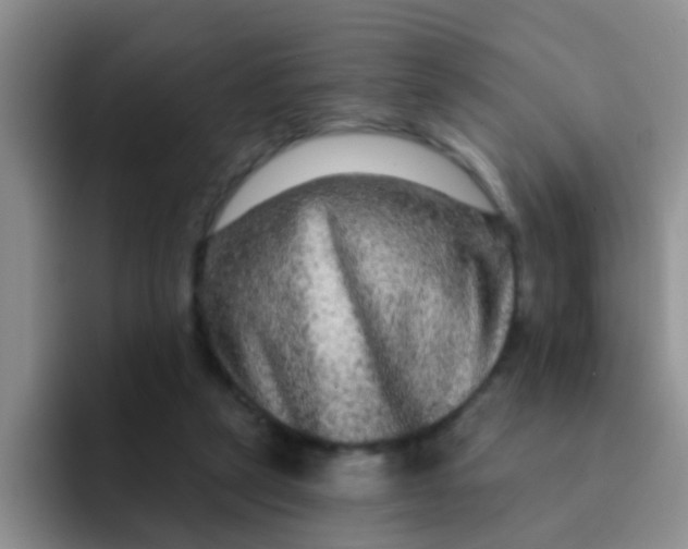 X0000091930257200709261919