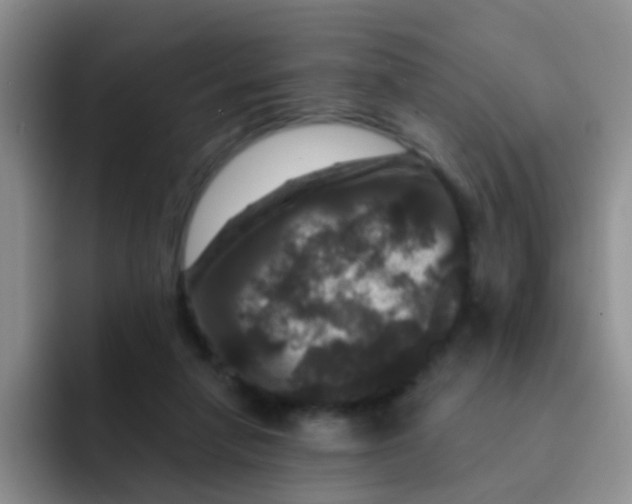 X0000091930258200709261919