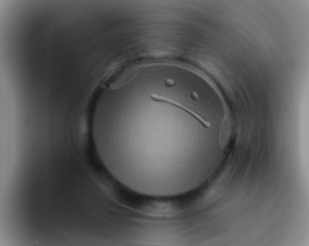 X0000091930260200709261919