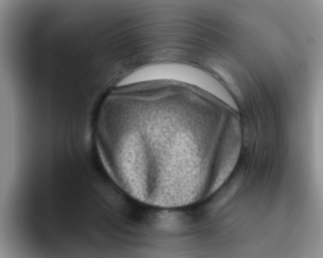X0000091930261200709261919
